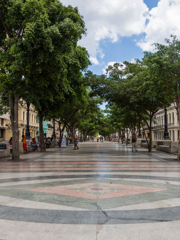 Paseo del prado